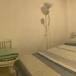 Cozy White Home